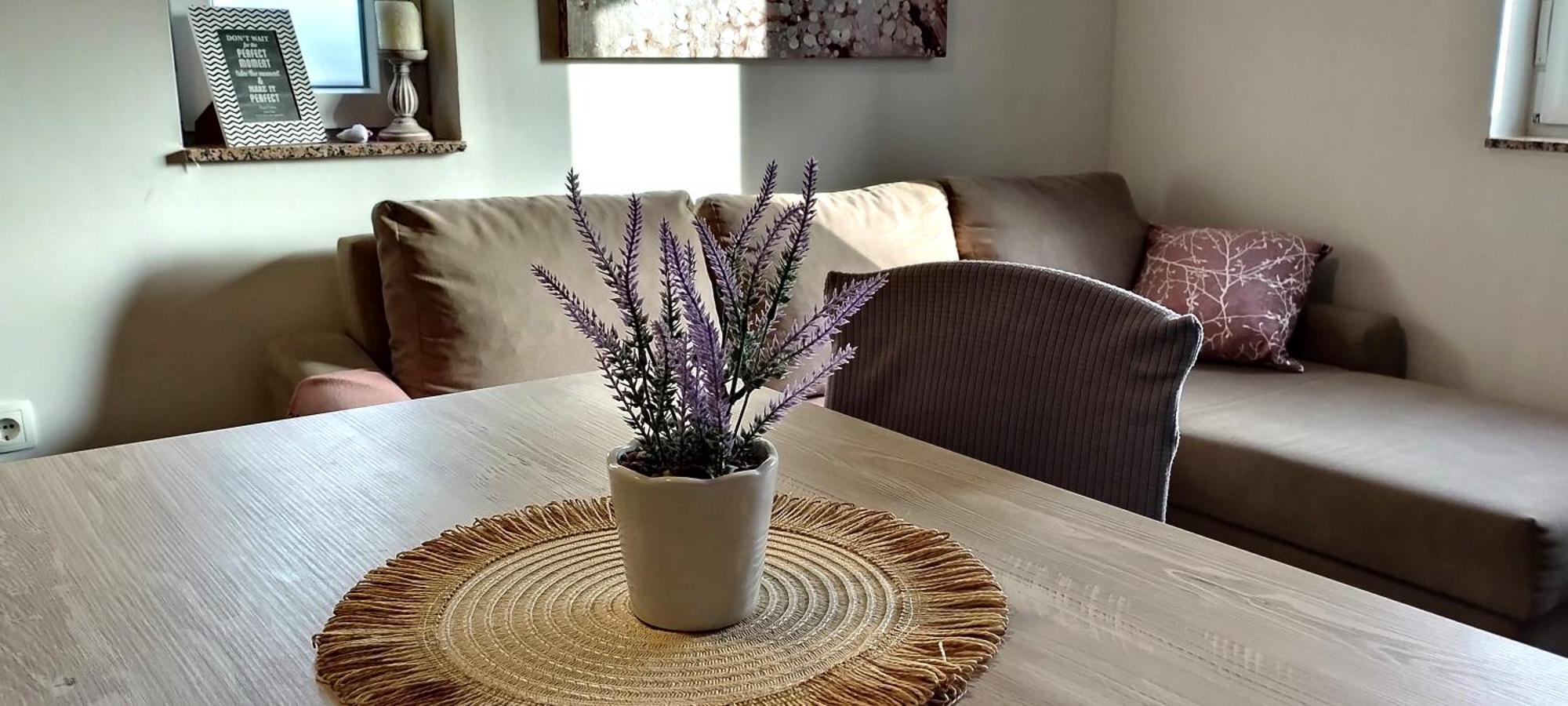 Apartment Morini Задар Екстер'єр фото
